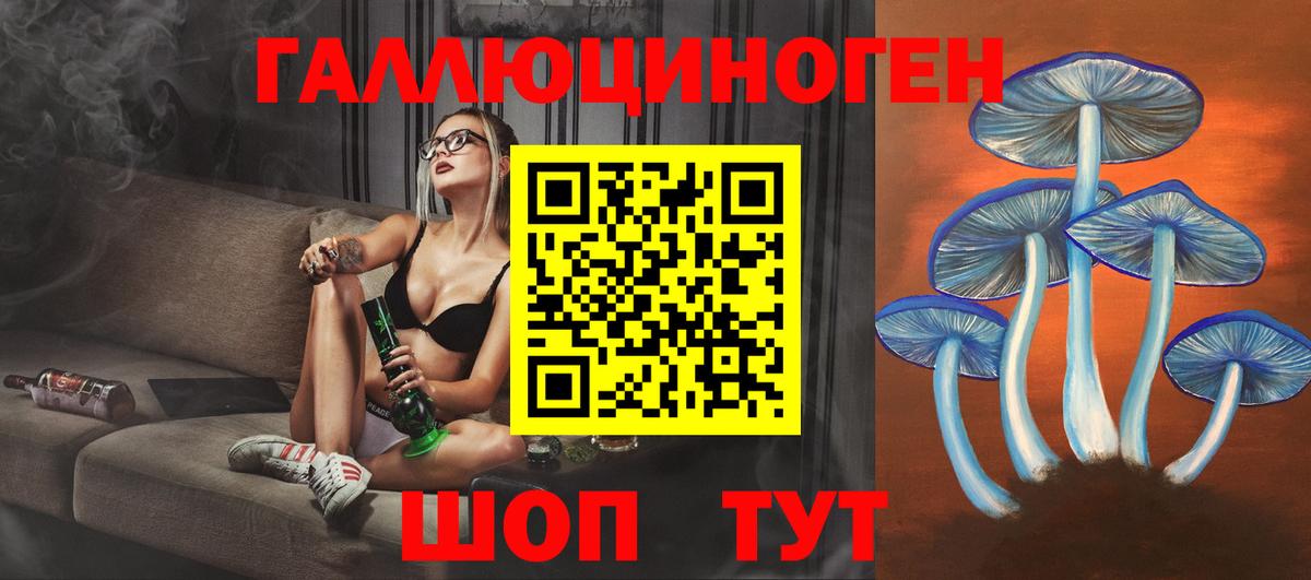 Псилоцибиновые грибы Psilocybine cubensis Петропавловск-Камчатский